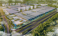 Cọ Xanh: Phân khu tại Vinhomes Ocean Park 2 The Empire