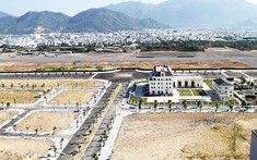 Định giá đất thấp, dự án đình trệ, kẽ hở cho đầu cơ