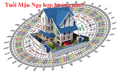 Tuổi Ngọ xây nhà hướng nào hợp phong thủy?