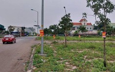 Nghệ An thành lập đoàn kiểm tra liên ngành kiểm tra các dự án đầu tư trên địa bàn