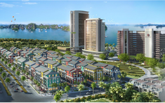 Singapore Shoptel: Phân khu tại dự án Sonasea Vân Đồn Harbor City Quảng Ninh