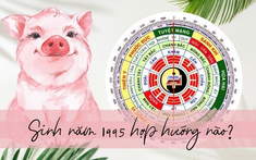 Tuổi Hợi xây nhà hướng nào hợp phong thủy?