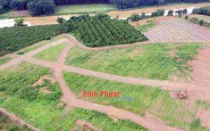 Xử phạt cá nhân tự vẽ dự án "biệt thự ven sông", phân lô 9,5ha đất nông nghiệp đem bán