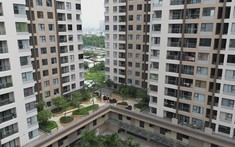 Căn hộ chung cư tiếp tục tăng giá