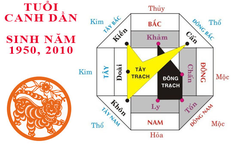 Xem hướng xây nhà hợp với gia chủ tuổi Dần