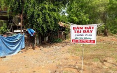Bán lỗ, nhà đầu tư vẫn thở phào nhẹ nhõm vì thoát được hàng
