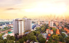 Chung Cư Quận 5: Cập Nhật Giá Bán, Giá Cho Thuê Tại 8 Dự Án Đã Bàn Giao