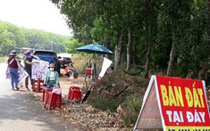 Thanh khoản trượt dốc, giá bất động sản vẫn tăng