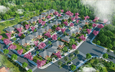 Ogimi Village Bảo Lộc: Dự án đất nền tại Lâm Đồng