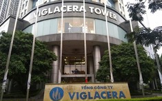 Viglacera báo lãi hơn 2.000 tỷ đồng nhờ mảng kính xây dựng và bất động sản