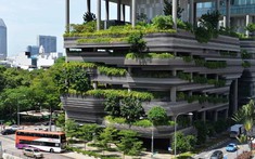 Thị trường vật liệu xây dựng đón sóng sản xuất xanh