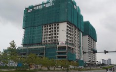 Các loại gạch không nung phổ biến trong xây dựng