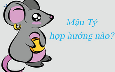 Tuổi Tý nên xây nhà hướng nào?