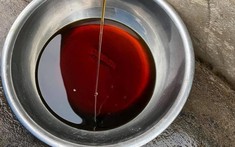 Làm mắm, bán cá khô, mua nhà tiền tỉ