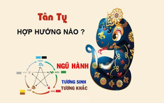 Gia chủ tuổi Tỵ chọn hướng xây nhà như thế nào?