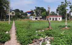 Xử lý tranh chấp khi cấp nhầm sổ đỏ cho hàng xóm