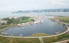 Hủy bỏ 27 đồ án quy hoạch chi tiết tại Tuần Châu (Quảng Ninh)