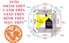 Tuổi Thìn xây nhà hướng nào hợp phong thủy?