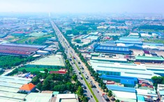 Nhà Đầu Tư Tìm Kiếm Sản Phẩm Chuẩn Bị Giai Đoạn Thị Trường Phục Hồi