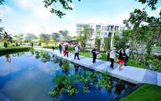 Dòng Tiền Trú Ẩn Trong Nhà Liền Thổ Vùng Ven TP.HCM