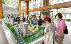 Loại Hình BĐS Nào Đang Được “Săn Tìm” Khi Dòng Tiền Khó?