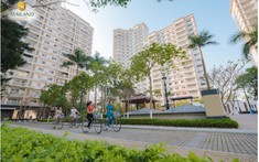 Nơi An Cư Lý Tưởng Mới Cho Cộng Đồng Tri Thức Người Hàn Quốc Tại Hà Nội