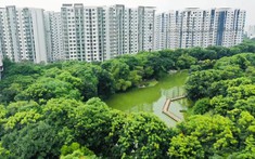 Cập Nhật Giá Chung Cư Quận Tân Phú Mới Nhất Tháng 11/2022