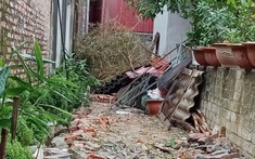 Điểm Sáng Của Đất Nền Ăn Theo Các Khu Công Nghiệp