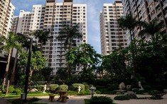 Giá Thuê Căn Hộ Chung Cư Tiếp Tục Tăng Mạnh