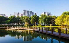 Công Viên Celedon City Có Gì Hấp Dẫn?