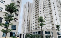Chung Cư Hà Nội: Giá Chào Bán Cao, Giá Giao Dịch Thấp