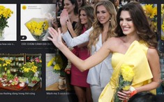 Fans Thái tặng hoa cúc vàng cho Tân Hoa hậu Hòa bình người Brazil, netizen tức điên khi tìm hiểu ý nghĩa