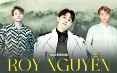 Roy Nguyễn - 'Sự trở lại' của một tân binh