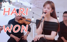 MV 'Như anh đã mong chờ’ vượt 1 triệu view, Hari Won tặng fan phiên bản live band