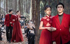 Giải thưởng 'ông chồng dìm vợ' của năm gọi tên Bình An