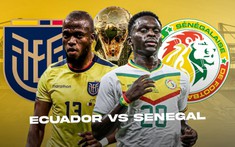 Nhận định, soi kèo Ecuador vs Senegal 22h00 ngày 29/11