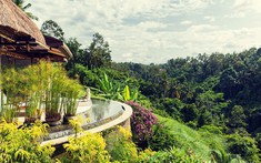 Hoà Bình sắp có khu trồng rừng lâu năm tích hợp du lịch, sinh thái nghỉ dưỡng 76ha