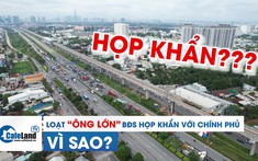Vì sao loạt “ông lớn” bất động sản họp khẩn với Chính phủ?