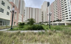 Vì sao dự án tái định cư bị "chê"?