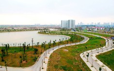 Nhà đầu tư nhỏ nên lựa chọn phân khúc nào để “hái ra tiền”?