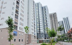 Quy định về việc chọn chủ đầu tư dự án nhà ở xã hội theo hình thức đấu thầu