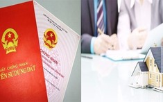Làm thế nào khi giao dịch mua bán đất nhưng muốn người khác đứng tên sổ?