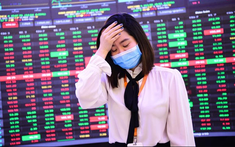 Lần thứ ba liên tiếp Novaland phải giải trình việc cố phiếu giảm sàn