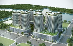 CII khẳng định không có dư nợ vay hoặc trái phiếu đối với các dự án bất động sản