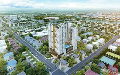 Giá Bán Chung Cư Quận 6 Quý 4/2022 Tại 13 Dự Án