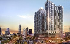 Giá Chung Cư Quận 1 Cập Nhật Mới Nhất