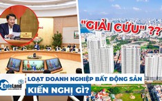 Doanh nghiệp kiến nghị hàng loạt giải pháp cấp bách giải cứu thị trường bất động sản