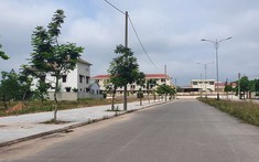 Vắng bóng đầu cơ, giá đất trúng đấu giá sẽ giảm mạnh?