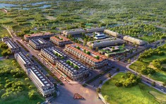 Grand Navience City: Dự án khu đô thị tại Bình Định