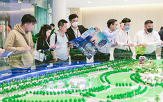Bất động sản ven biển sở hữu lâu dài hấp dẫn nhà đầu tư